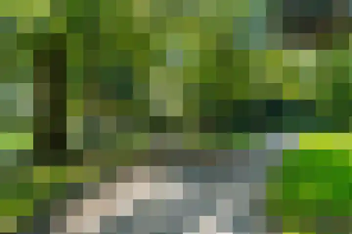 Groen van Prinstererlaan 41 Voorburg thumbnail 51