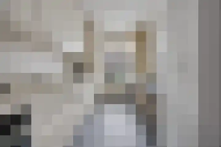 Groen van Prinstererlaan 41 Waalwijk thumbnail 12