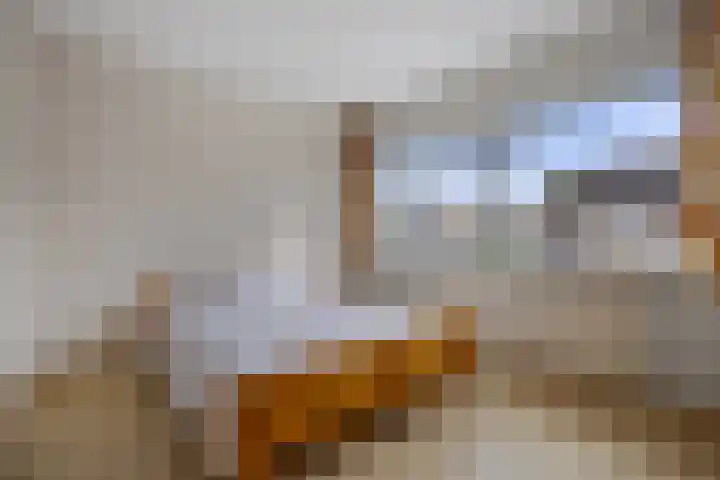 Groen van Prinstererlaan 41 Waalwijk thumbnail 18
