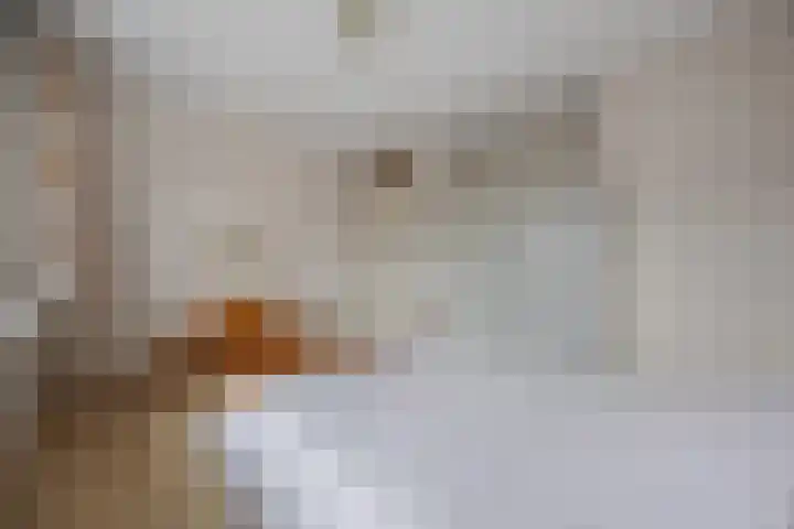 Groen van Prinstererlaan 41 Waalwijk thumbnail 19