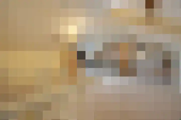 Groen van Prinstererlaan 41 Waalwijk thumbnail 27
