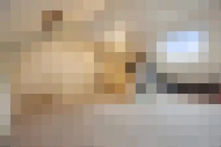 Groen van Prinstererlaan 41 Waalwijk thumbnail 28