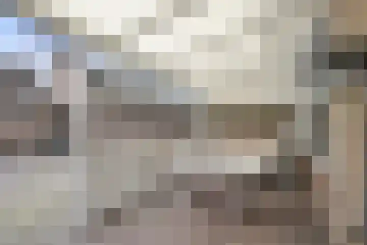 Groen van Prinstererlaan 41 Waalwijk thumbnail 29