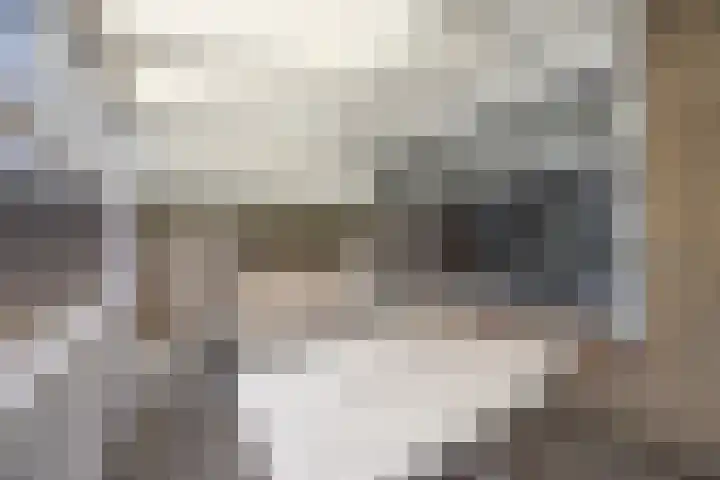 Groen van Prinstererlaan 41 Waalwijk thumbnail 30