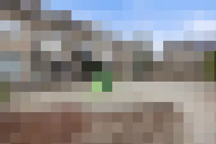 Groen van Prinstererlaan 41 Waalwijk thumbnail 36