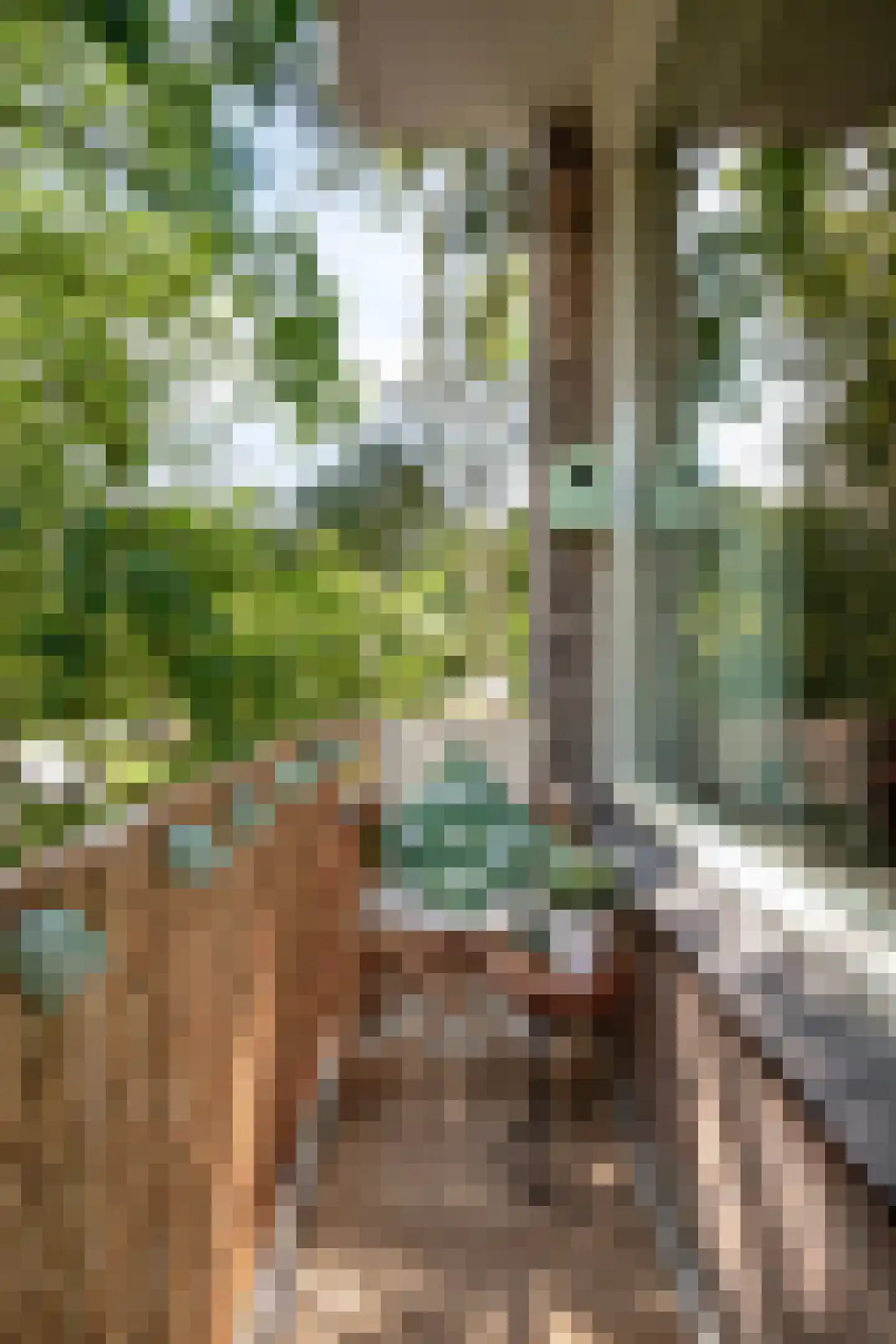 Groen van Prinstererlaan 42 B Amersfoort thumbnail 15