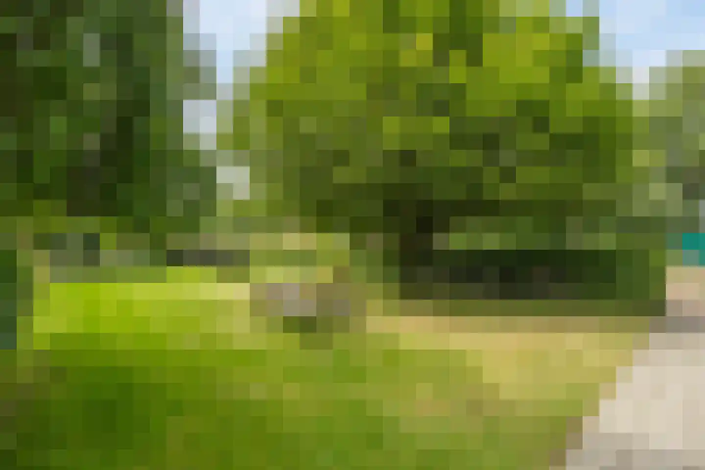 Groen van Prinstererlaan 42 B Amersfoort thumbnail 20
