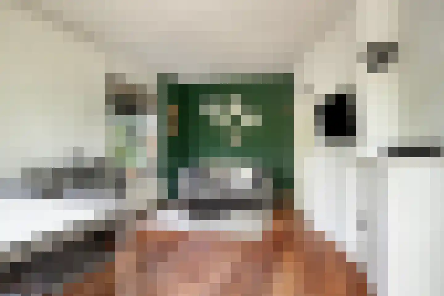 Groen van Prinstererlaan 42 B Amersfoort thumbnail 9