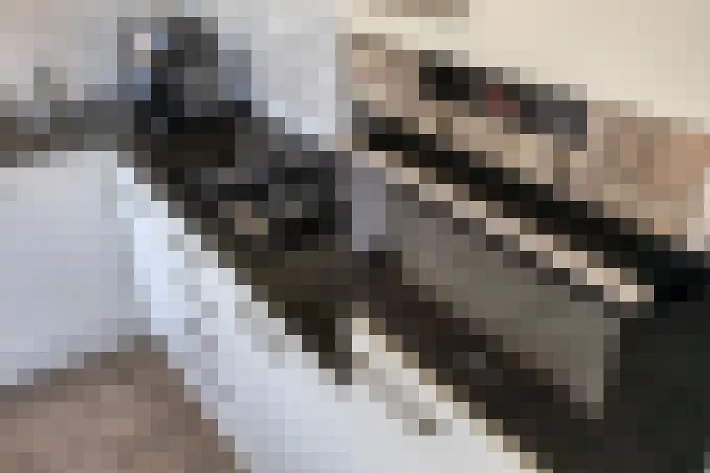 Groen van Prinstererlaan 426 Den Haag thumbnail 10
