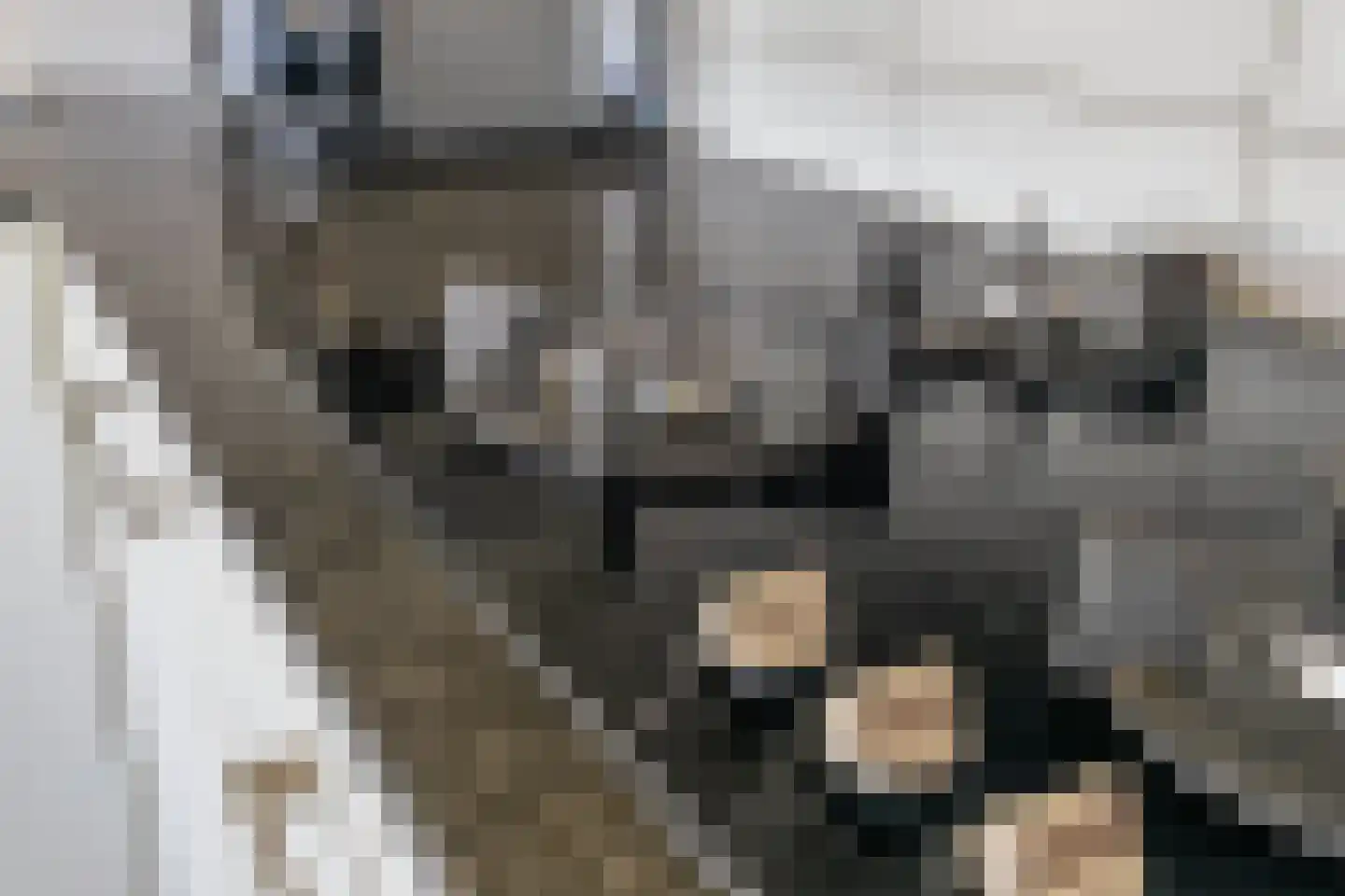 Groen van Prinstererlaan 426 Den Haag thumbnail 11