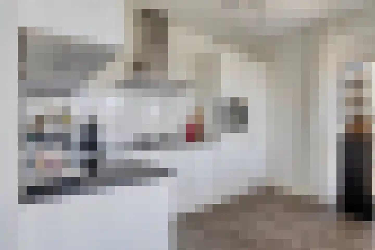 Groen van Prinstererlaan 426 Den Haag thumbnail 9