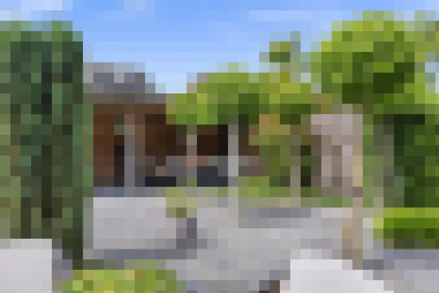 Groen van Prinstererlaan 44 Vlijmen thumbnail 30