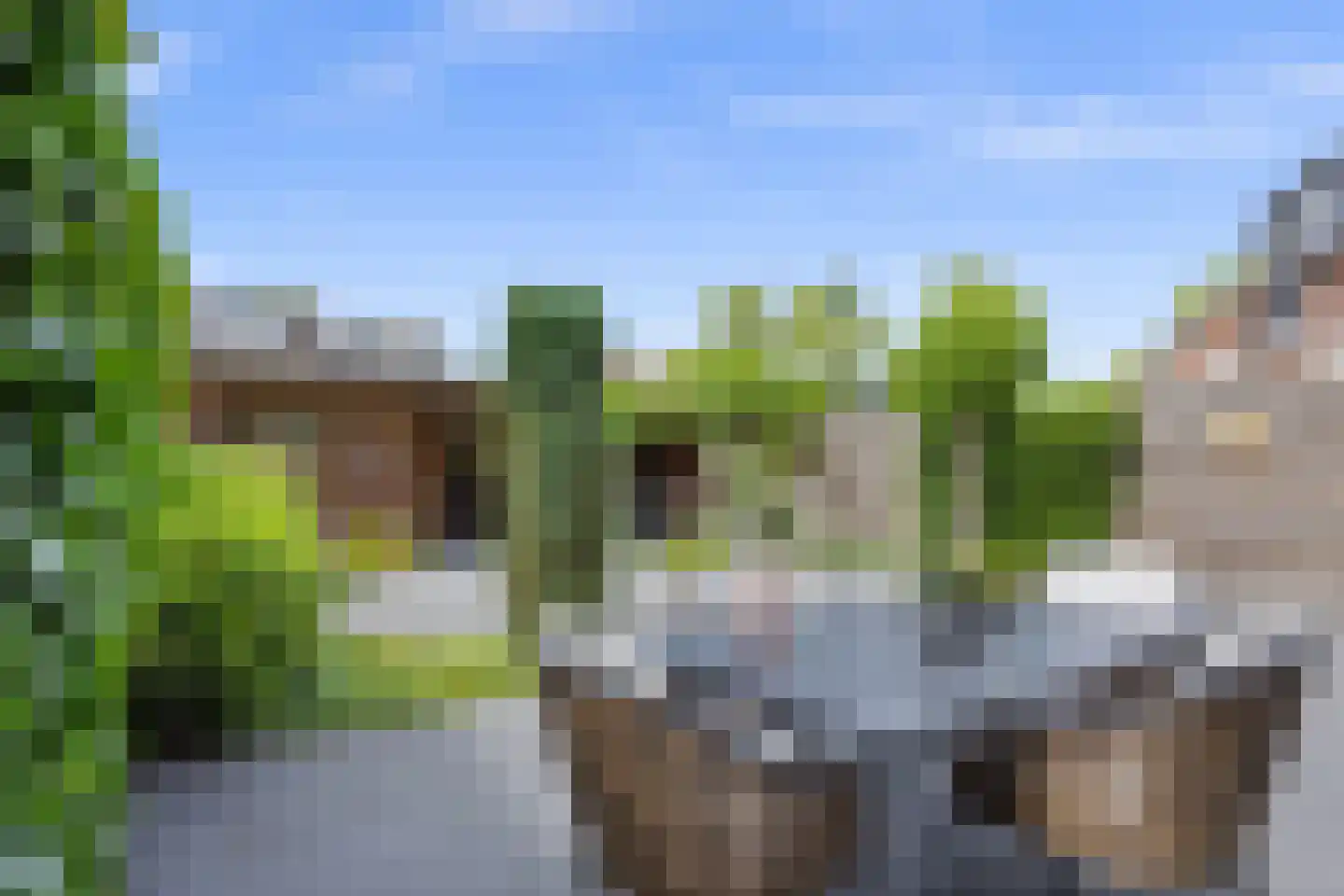 Groen van Prinstererlaan 44 Vlijmen thumbnail 34