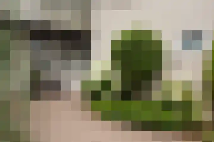 Groen van Prinstererlaan 45 's-Hertogenbosch thumbnail 6