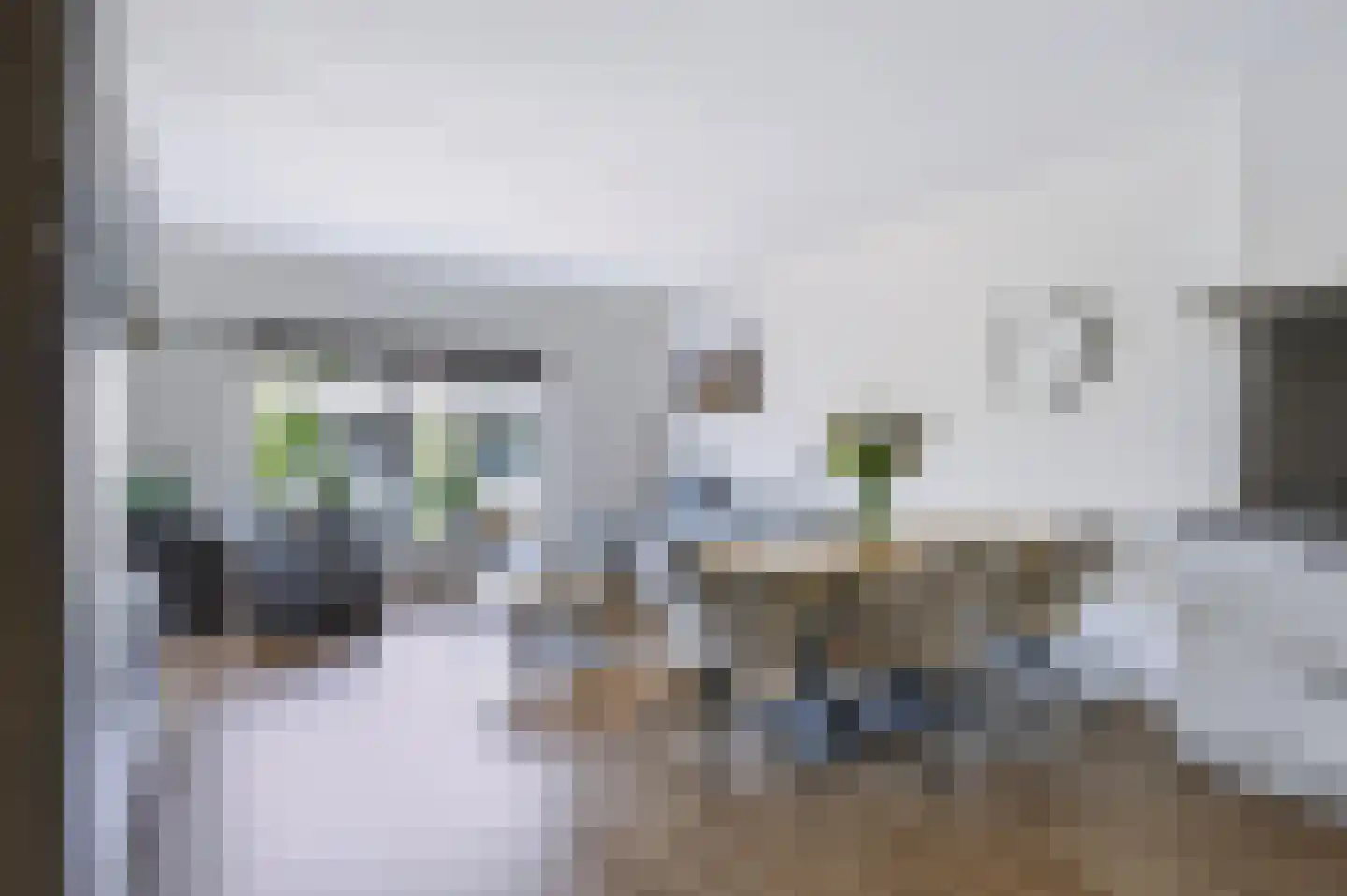 Groen van Prinstererlaan 47 Barneveld thumbnail 11