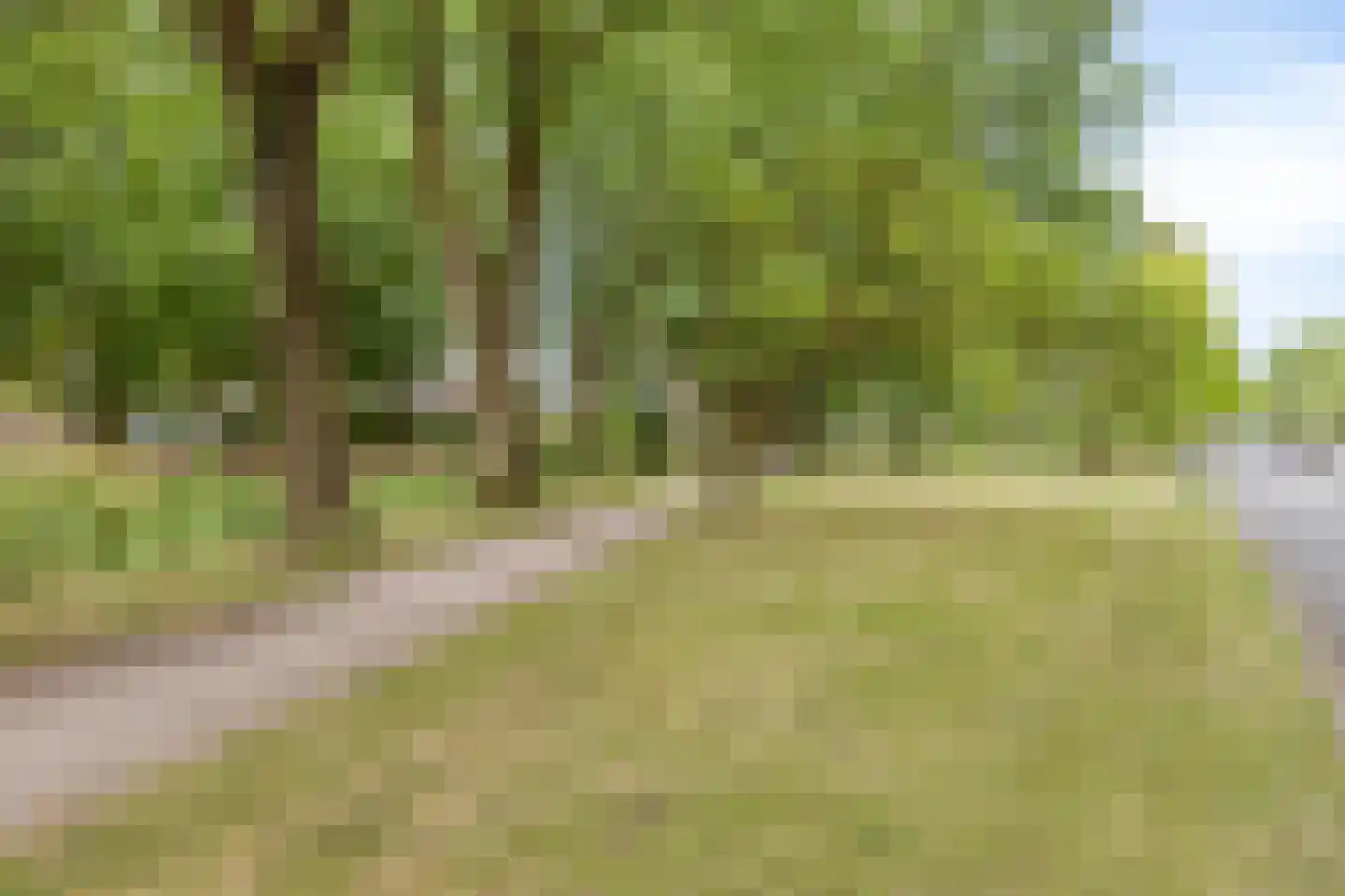 Groen van Prinstererlaan 47 E Barneveld thumbnail 30