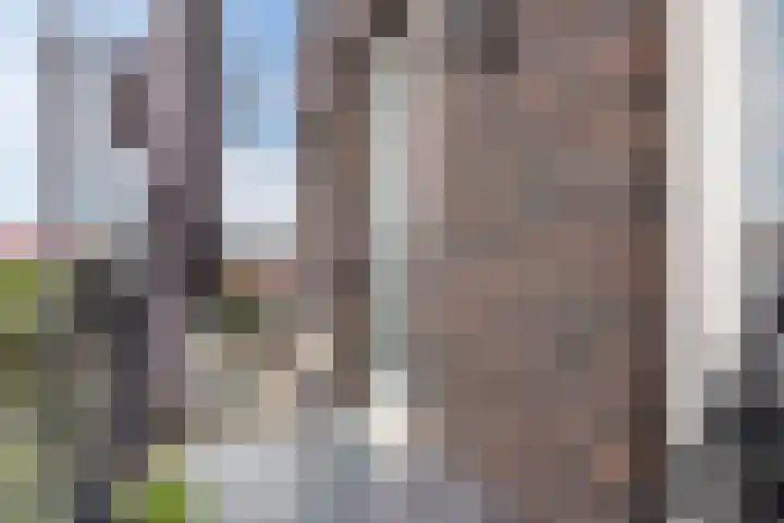 Groen van Prinstererlaan 47 F Barneveld thumbnail 23