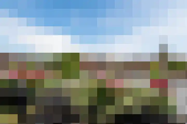 Groen van Prinstererlaan 47 F Barneveld thumbnail 24