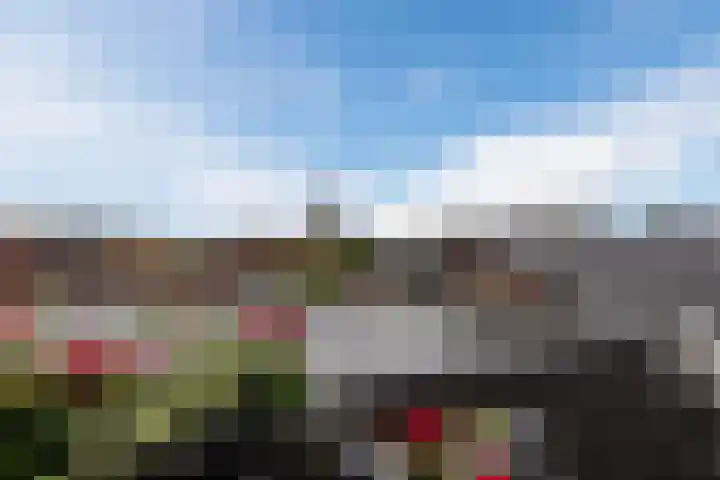 Groen van Prinstererlaan 47 F Barneveld thumbnail 25
