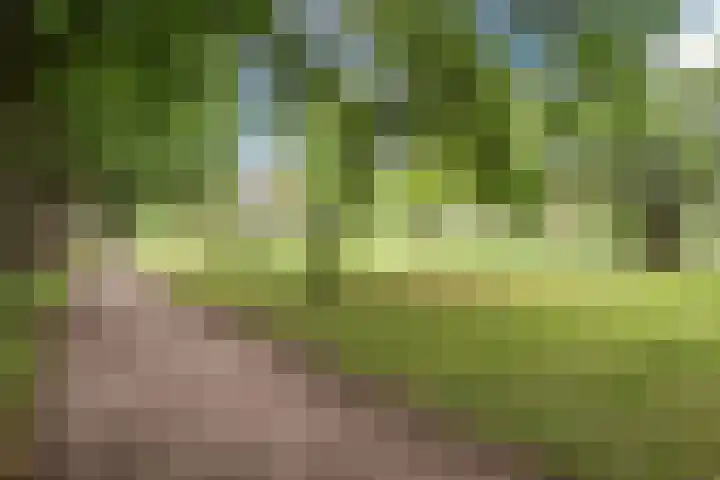 Groen van Prinstererlaan 47 F Barneveld thumbnail 33