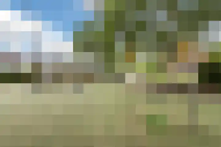 Groen van Prinstererlaan 47 F Barneveld thumbnail 35