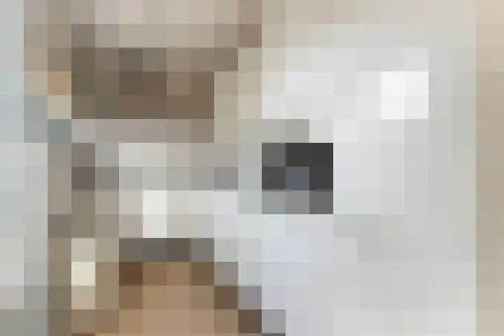 Groen van Prinstererlaan 5 Reeuwijk thumbnail 20