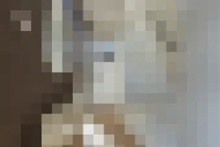 Groen van Prinstererlaan 5 Reeuwijk thumbnail 21