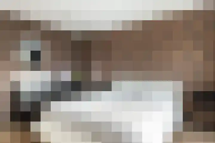 Groen van Prinstererlaan 5 Reeuwijk thumbnail 23
