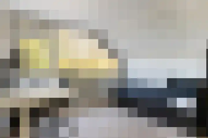 Groen van Prinstererlaan 5 Reeuwijk thumbnail 35