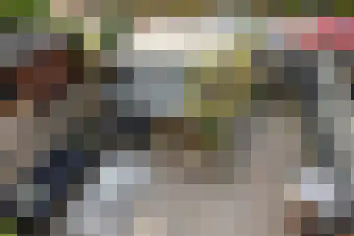Groen van Prinstererlaan 5 Reeuwijk thumbnail 37