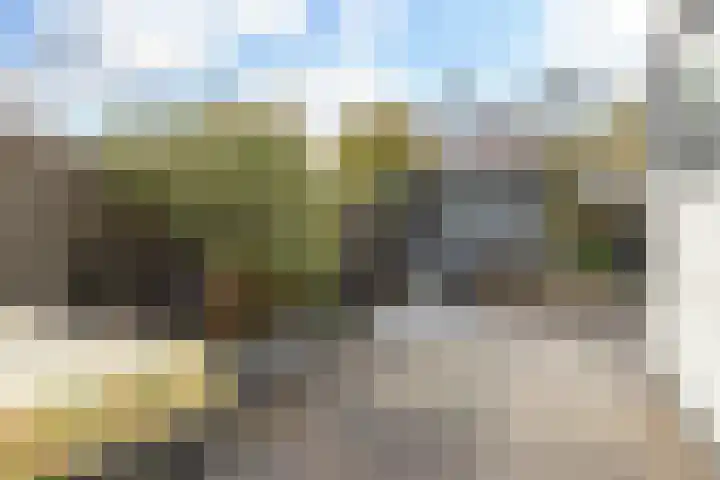 Groen van Prinstererlaan 5 Reeuwijk thumbnail 38
