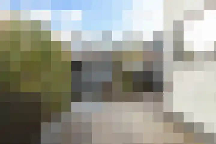 Groen van Prinstererlaan 5 Reeuwijk thumbnail 39