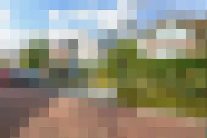 Groen van Prinstererlaan 5 Reeuwijk thumbnail 44