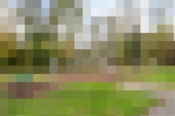 Groen van Prinstererlaan 5 Reeuwijk thumbnail 46