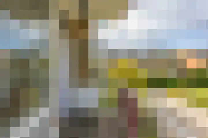 Groen van Prinstererlaan 50 Groningen thumbnail 19