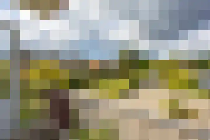 Groen van Prinstererlaan 50 Groningen thumbnail 20