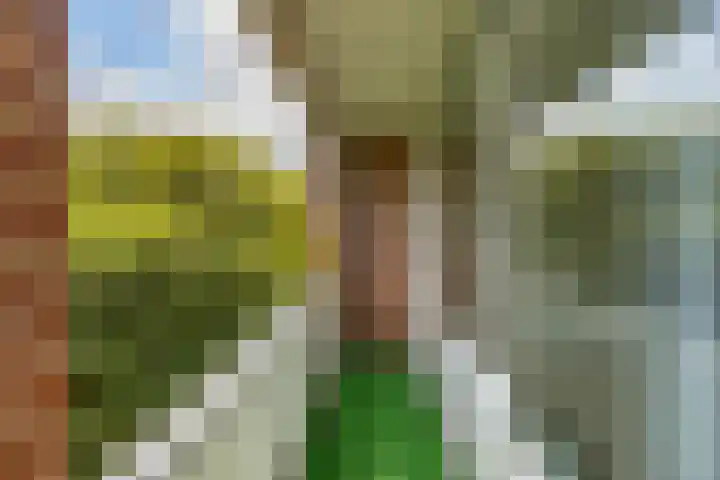 Groen van Prinstererlaan 50 Groningen thumbnail 22