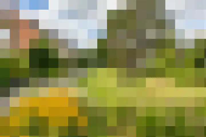 Groen van Prinstererlaan 50 Groningen thumbnail 4