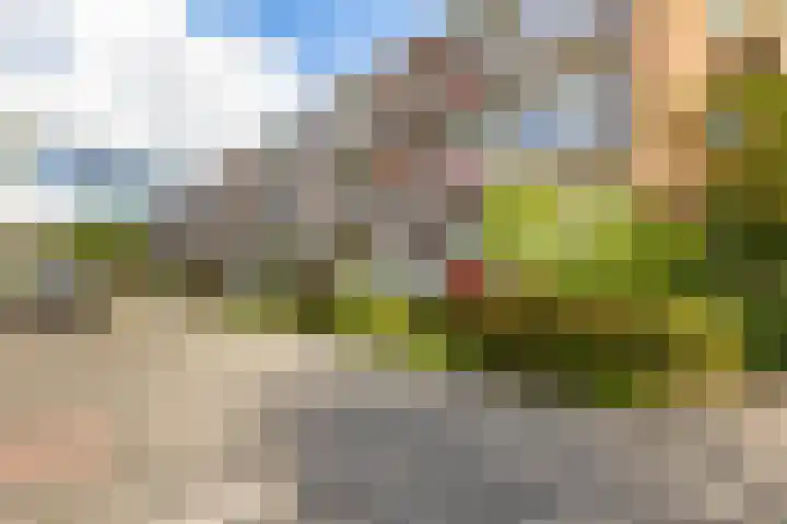 Groen van Prinstererlaan 50 Groningen thumbnail 5