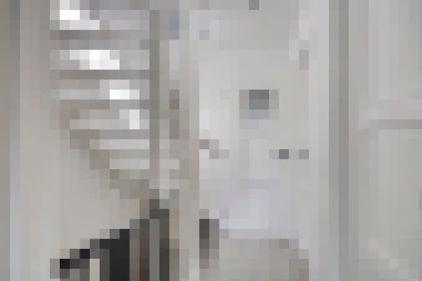 Groen van Prinstererlaan 53 Vlijmen thumbnail 22