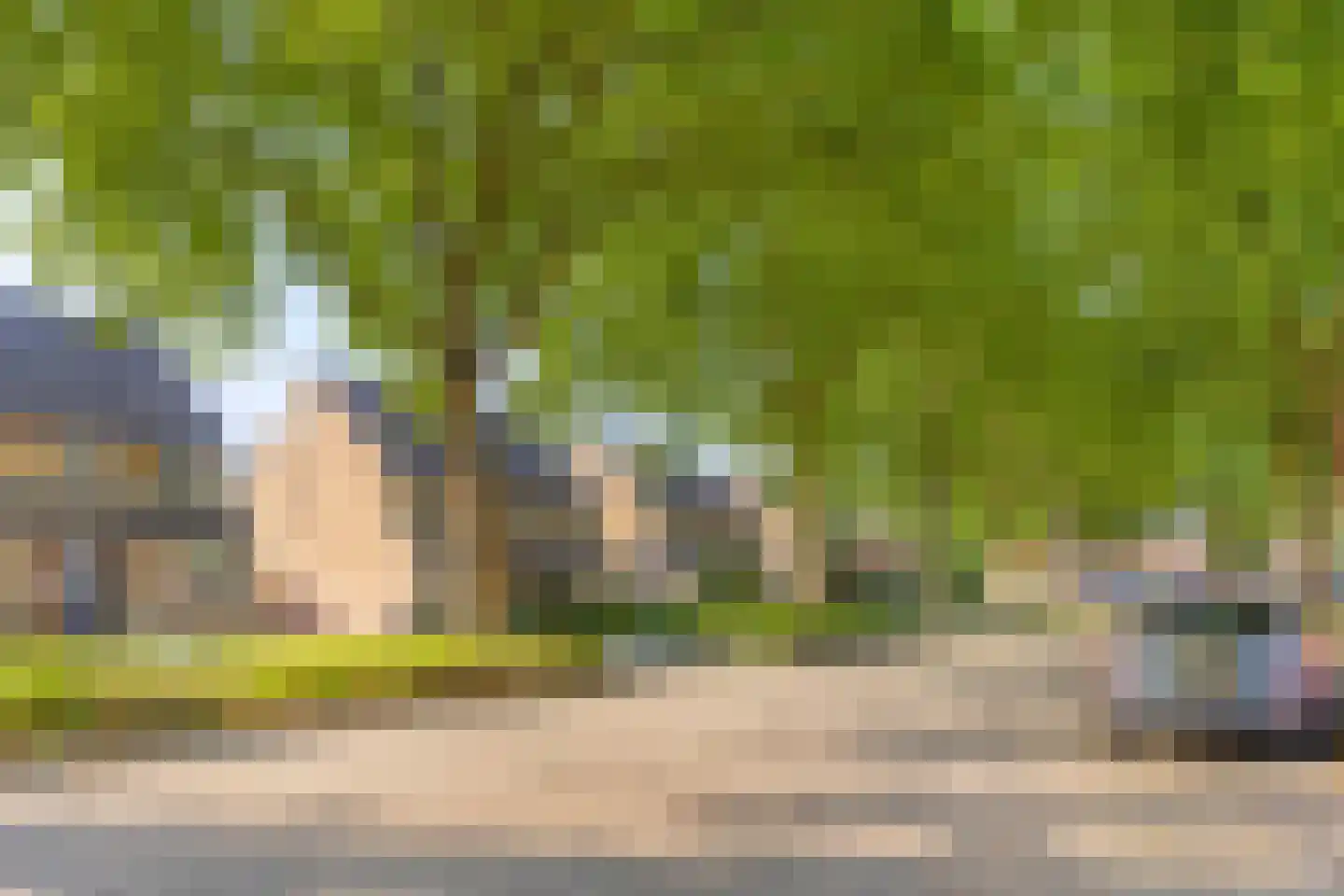 Groen van Prinstererlaan 53 Vlijmen thumbnail 36