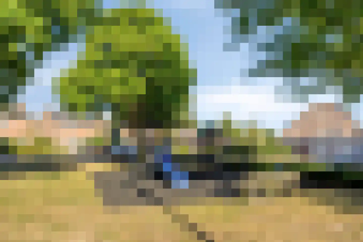 Groen van Prinstererlaan 53 Vlijmen thumbnail 37