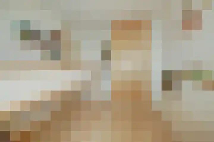 Groen van Prinstererlaan 59 Vlijmen thumbnail 20