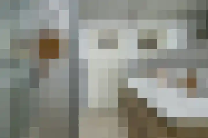 Groen van Prinstererlaan 59 Vlijmen thumbnail 21