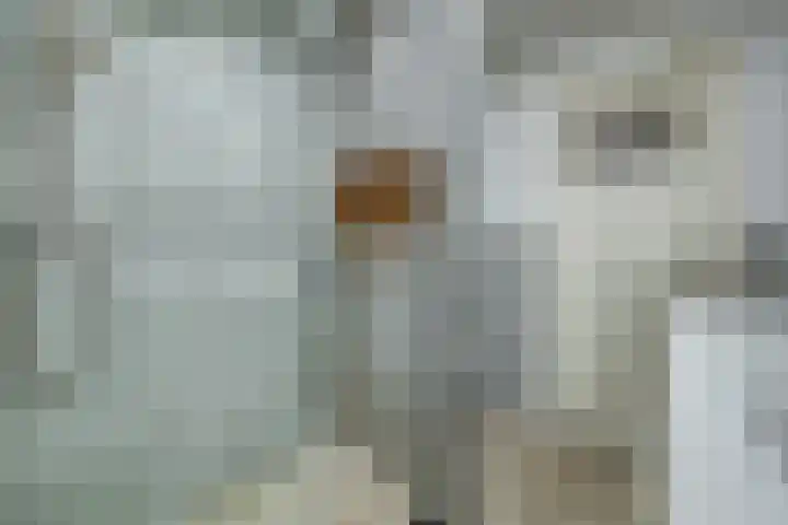 Groen van Prinstererlaan 59 Vlijmen thumbnail 22