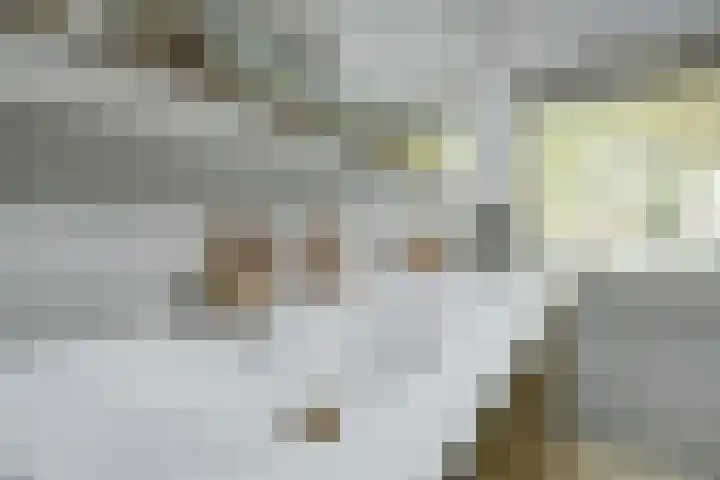 Groen van Prinstererlaan 59 Vlijmen thumbnail 23