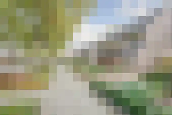Groen van Prinstererlaan 59 Vlijmen thumbnail 40