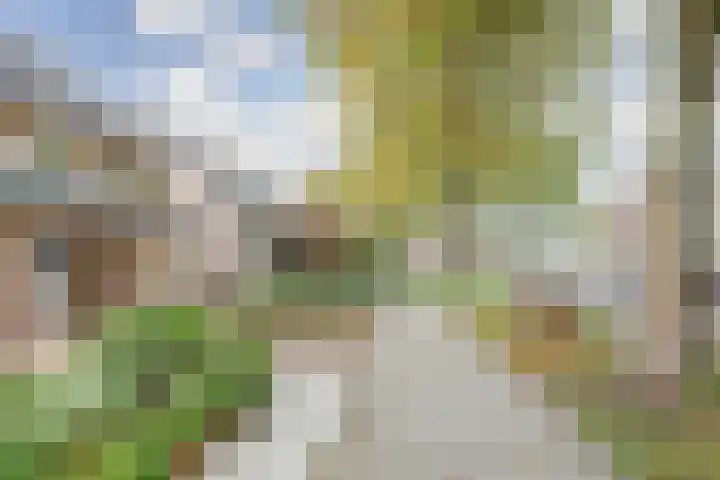 Groen van Prinstererlaan 59 Vlijmen thumbnail 41