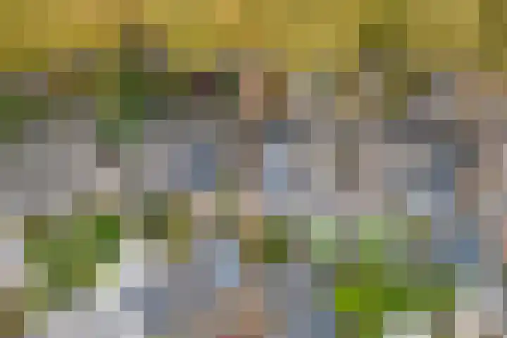 Groen van Prinstererlaan 59 Vlijmen thumbnail 42