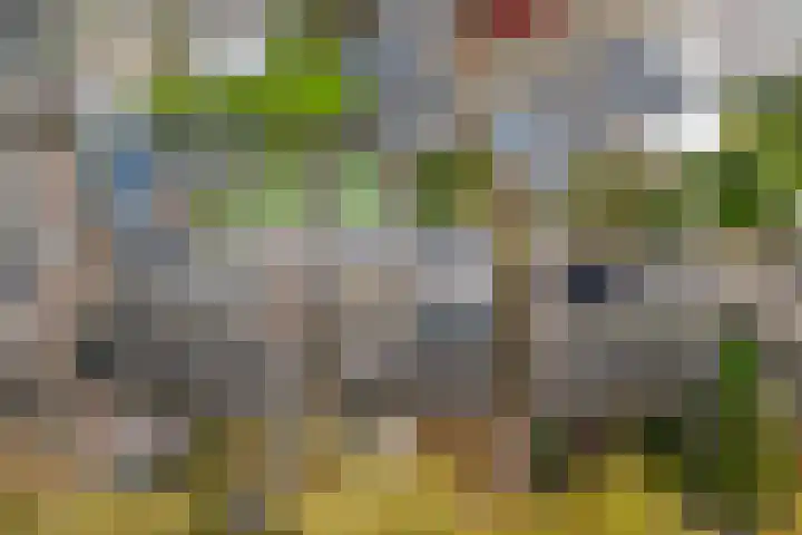 Groen van Prinstererlaan 59 Vlijmen thumbnail 43